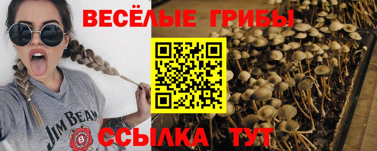 Псилоцибиновые грибы мухоморы Щёлково