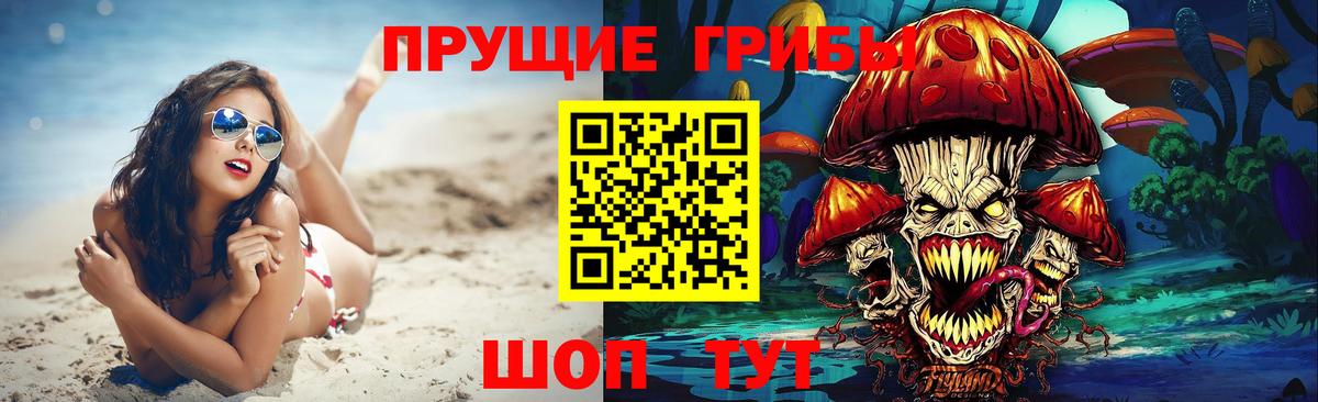 Псилоцибиновые грибы Magic Shrooms  Вход с VPN  Щёлково  Галлюциногенные грибы GOLDEN TEACHER 